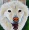 Art: Kha Pet Portrait by Artist Padgett Mason