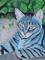 Art: Sittin' Pretty by Artist Padgett Mason