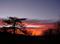 Art: winter dusk by Artist S. Olga Linville