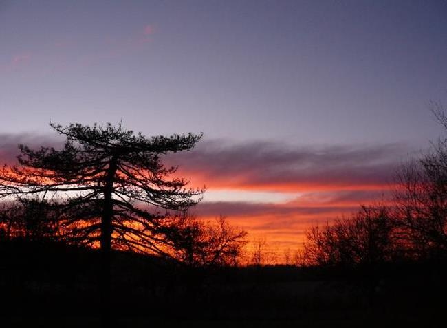 Art: winter dusk by Artist S. Olga Linville