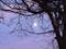 Art: blue moon by Artist S. Olga Linville