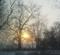 Art: frosty sunrise by Artist S. Olga Linville
