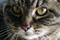 Art: yummy close-up by Artist S. Olga Linville