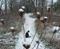 Art: first dusting by Artist S. Olga Linville