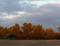 Art: an autumn mood by Artist S. Olga Linville