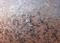 Art: frosted abstract by Artist S. Olga Linville