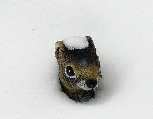 Art: snowbound by Artist S. Olga Linville