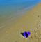 Art: left behind by Artist S. Olga Linville