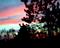 Art: sunrise3 by Artist L. M. McCurdy