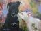 Art: Annie and Trixie  SOLD by Artist Barbara Haviland