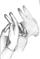 Art: Rabbit Hand Shadow by Artist Marina Owens