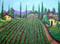 Art: Harvest the Vineyard by Artist Diane Funderburg Deam