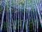 Art: Summer's End by Artist Diane Funderburg Deam