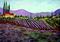 Art: Lavender Tuscany by Artist Diane Funderburg Deam