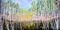 Art: Locket Aspens by Artist Diane Funderburg Deam