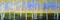 Art: Pastel Aspens by Artist Diane Funderburg Deam
