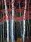 Art: Red Peace Aspens 2010 by Artist Diane Funderburg Deam