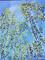 Art: Aspens Grove on 240 AZ by Artist Diane Funderburg Deam