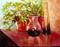 Art: Wendy's Patio Still Life by Artist Barbara Haviland