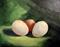Art: Three Eggs a Still Life by Artist Barbara Haviland