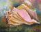 Art: 10x8 SeaShell 001.JPG by Artist Barbara Haviland
