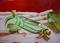 Art: Glass Bottles  A Still LIfe by Artist Barbara Haviland