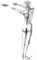 Art: nude study by Artist Lisa Morgan