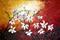 Art: SUNSET and EXOTIC FLOWERS  by Artist LUIZA VIZOLI