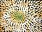 Art: FANTASY YELLOW FLOWER by Artist LUIZA VIZOLI