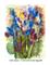 Art: Colors of June by Artist Susan Reynolds