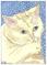 Art: CLEAN KITTY by Artist Theodora Demetriades 