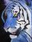 Art: Majestic by Artist Padgett Mason