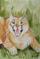 Art: Caracal by Artist Padgett Mason