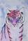 Art: Colorful Cat by Artist Padgett Mason