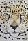 Art: Jaguar by Artist Padgett Mason