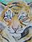 Art: Sweet Cub by Artist Padgett Mason