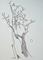 Art: tree study #6 by Artist Angie Reed Garner