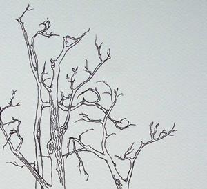 Detail Image for art tree study #6